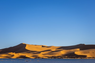 Palmeras Dunas gallery